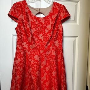 Adorable Enfocus Dress